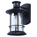 Canarm Dakota Light 12.5" Outdoor Lantern, Black - IOL717BK. Fixed Price $79.99.
