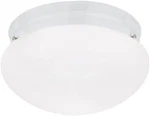 Sea Gull 5326-15 Webster 1-LIGHT White Flush Mount Ceiling Fixture. Fixed Price $22.49.