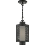 Livex Lighting 20685-14 Nottingham Outdoor Pendant Chandeller Textured Black. Fixed Price $299.96.