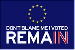 Dont Blame Voted Remain Political Cool Wall Decor Art Print Poster 24X36. Fixed Price $21.99.