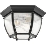 Progress Lighting P6019-31 Roman Coach 11" Two Incandescent Flush Mount. Fixed Price $66.00.