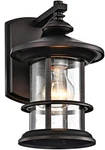 Micsiu Oil Rubbed Bronze Outdoor Light Fixture Wall Mount, Clear Seedy Glass .... Fixed Price $37.00.