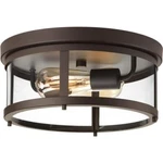 Progress Lighting P550021-020 Gunther Antique Bronze Farmhouse Outdoor. Fixed Price $49.99.