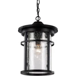 Trans Globe Lighting 40385-BK Avalon Outdoor Pendant Chandeller Black. Fixed Price $155.80.