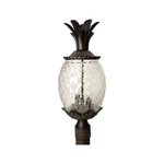 Used Acclaim Lighting 7517BC Lanai - Three Post 10 Inches Wide By 22.25. Fixed Price $168.00.