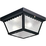 Progress Lighting P5729 Ceiling Mount Series 9-1/4" Two-light Black. Fixed Price $52.73.