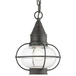 Livex Lighting 26910 Newburyport 9"W Outdoor Mini Pendant - Charcoal. Fixed Price $349.96.