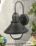 Chapter Outdoor Wall Light Oil-rubbed Bronze Finish. Fixed Price $39.97.