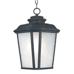 Maxim Radcliffe Outdoor Hanging Lantern Light - Frosted Glass 3349WFBO New. Fixed Price $139.99.
