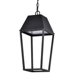 Nuvo Lighting 62/2314 Colt 10"W Outdoor Mini Led Pendant - Black. Fixed Price $341.99.
