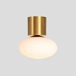 Flush Mount Light Wall Sconce Italian Brass Glass Globe Ceiling Lamp Halloween. Fixed Price $128.53.