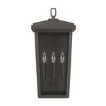 Open Box Item: Capital Donnelly Light Small Outdoor Wall, Bronze - 926232OZ. Fixed Price $299.99.