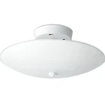 Round Ceiling Flush W/ White Finish 2-LIGHT SATCO-SF77-823. Fixed Price $17.99.