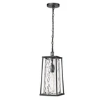 Millennium Lighting 10621-PBK Dutton 8" Outdoor Mini Pendant. Fixed Price $200.00.