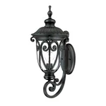 Acclaim Lighting 2111 Black Naples 1-LIGHT 22.75"H Outdoor Wall Sconce. Fixed Price $230.00.