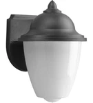 Progress Lighting P5844-31 Wall Lantern, Outdoor, 1-LIGHT, 60W, Black. Fixed Price $30.00.