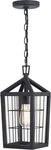 Vaxcel Lighting T0590 Gage 7"W Cage Mini Pendant - Volcanic Black. Fixed Price $89.99.