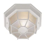 Trans Globe Lighting 40582-WH Benkert Outdoor Ceiling White. Fixed Price $57.00.