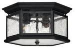 Hinkley Lighting H1683 2 Outdoor Flush Mount Ceiling - Black. Fixed Price $299.00.