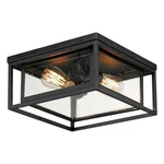 Black Two Light Flush Mount From The Cabana Vx Collection. Fixed Price $170.00.