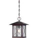 Nuvo Vega Light Outdoor Hanging Fixture, Clear Glass, Classic Bronze 60-5614. Fixed Price $193.60.