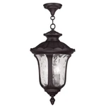 Livex Lighting Oxford Outdoor Chain Hang Bronze 7858-07. Fixed Price $334.96.