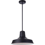 Craftmade ZA5701-MN Briscoe Light 14.96 Inch Midnight Outdoor Pendant. Fixed Price $173.88.