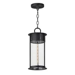 Maxim Lighting Windsor 1 Outdoor Pendant, Black Patina/seedy - 30636CDBKP. Fixed Price $202.30.