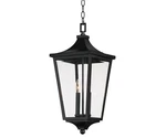 Maxim 40239CL Sutton Place Vivex Light 10"W Pendant - Black. Fixed Price $241.20.