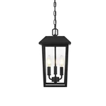 Elegant Lighting OD502H15 Riggs 3 8"W Outdoor Mini Pendant - Black. Fixed Price $144.00.