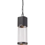 Z-lite 562CHB-BK-LED Lestat Inch Black Outdoor Chain Mount Ceiling Fixture. Fixed Price $150.00.