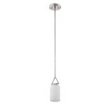 Luminance Contemporary 1-LIGHT Pendant Satin Nickel Finish F14001-53. Fixed Price $38.99.