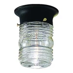 Progress Lighting P5603-31 Utility Lantern 1-LIGHT Close-to-ceiling, W, Black. Fixed Price $18.89.
