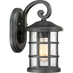 Quoizel CSE8406EK Crusade 11" Outdoor Wall Lantern In Earth Black. Fixed Price $139.99.