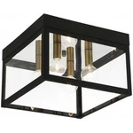 Livex Lighting Nyack 4 Outdoor Ceiling Mount Bronze. Fixed Price $279.96.