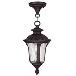 Livex Lighting 7849-07 Oxford 1 7.25 Inch Bronze Outdoor Pendant Lantern. Fixed Price $119.96.
