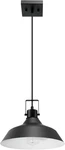 44476 1-LIGHT Indoor/outdoor Pendant Light, Matte Black Finish, Textured Socket. Fixed Price $74.99.