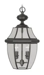 Livex Lighting 2255-04 Monterey 10.5 Inch Black Outdoor Pendant Lantern. Fixed Price $289.96.