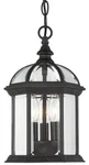 Savoy House 5-0635 Black Kensington 3-LIGHT 8.25"W Outdoor Pendant. Fixed Price $169.60.