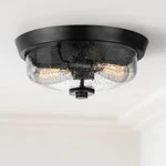 Quoizel Radius 13" Wide Earth Black 2-LIGHT Ceiling. Fixed Price $158.99.