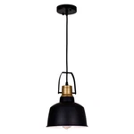Cwi Lighting 9845P9-1-101 Elisa Down Pendant With Black Finish. Fixed Price $100.00.