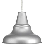 Progress Lighting District Collection 1-LIGHT Metallic Gray Hanging Lantern. Fixed Price $25.46.