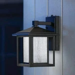 Home Decorators Collection Black Outdoor Seeded Glass Dusk Dawn Wall Lantern. Fixed Price $49.96.