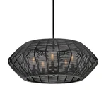 Hinkley Lighting 10385-LV Luca 28"W Led Outdoor Pendant Black. Fixed Price $954.00.