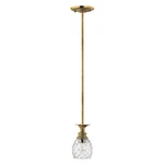 Hinkley Lighting Plantation Mini-pendant, Burnished Brass 5317BB. Fixed Price $269.00.