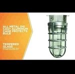 Industrial Security Light Ceiling Mount Vandal Proof Caged Weather Tight 110V. Fixed Price $29.99.