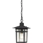 Nuvo Cove Neck Light 12" Outdoor Hang W/ Clear Glass, Textured Black 60-4956. Fixed Price $73.59.