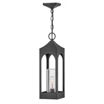 Hinkley Lighting Amina Outdoor Hanging Lantern, Zinc/clear - 18082DSZ. Fixed Price $124.99.