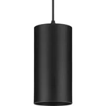 Progress Lighting P550100-031-30 Pendants Outdoor. Fixed Price $58.50.