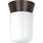 Nuvo Lighting 77/156 4-1/4"W Outdoor Semi-flush Ceiling Bronzotic. Fixed Price $28.99.